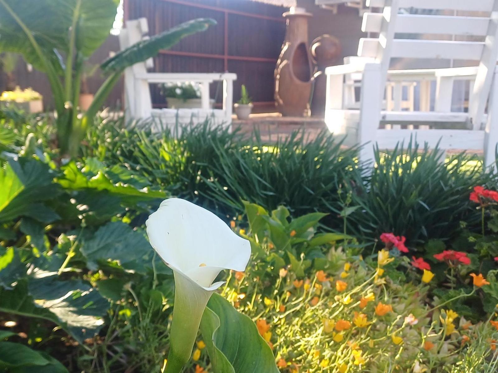 Ceelee's Place Bloemfontein Buitenkant foto